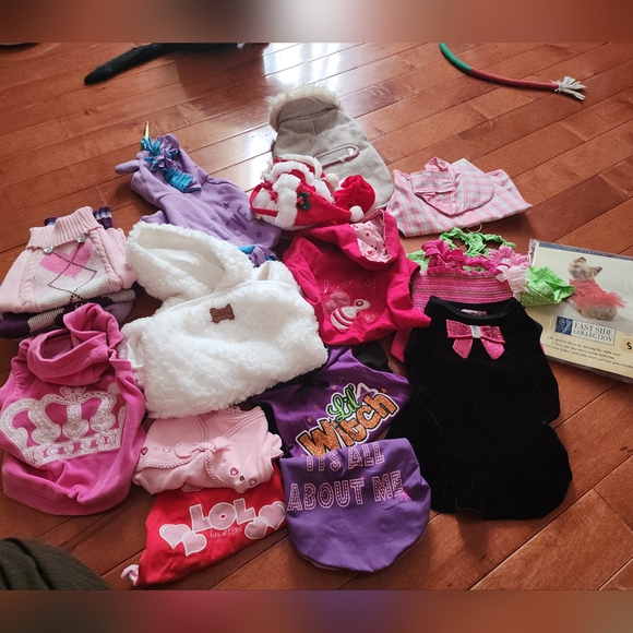 Colorful Pet Clothing Collection